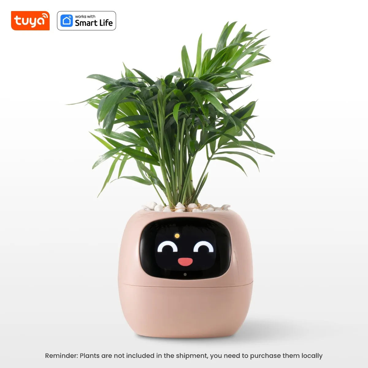 Jardinière intelligente Tuya Gen1 Ivy, plaisir sans fin avec plus de 49 expressions riches, 7 capteurs intelligents, les puces IA rendent la culture des plantes facile et amusante