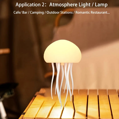 Lumiere volante