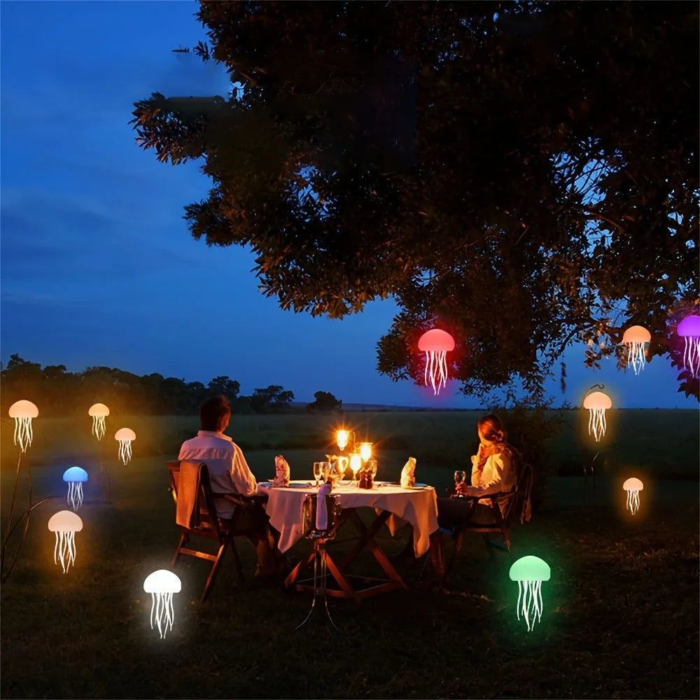 Lumiere volante