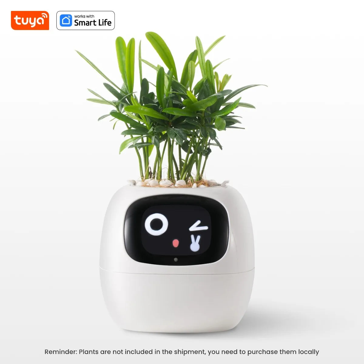 Jardinière intelligente Tuya Gen1 Ivy, plaisir sans fin avec plus de 49 expressions riches, 7 capteurs intelligents, les puces IA rendent la culture des plantes facile et amusante