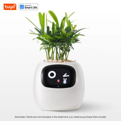 Jardinière intelligente Tuya Gen1 Ivy, plaisir sans fin avec plus de 49 expressions riches, 7 capteurs intelligents, les puces IA rendent la culture des plantes facile et amusante