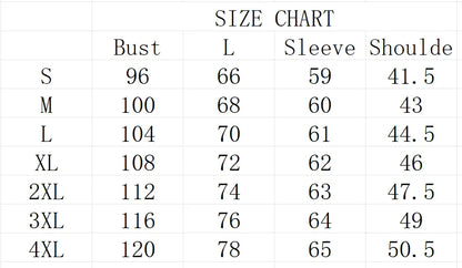 Chemise  infroissable