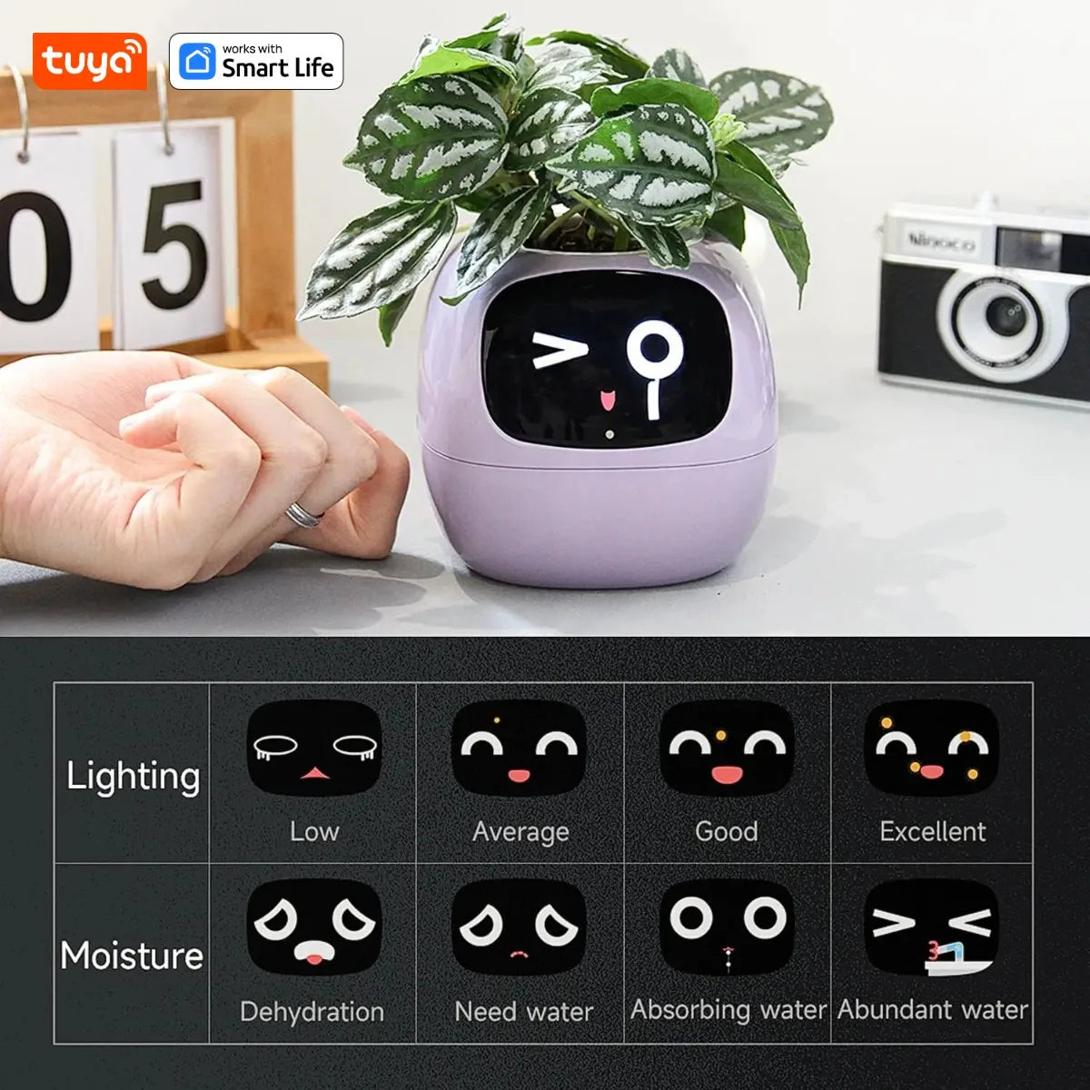 Jardinière intelligente Tuya Gen1 Ivy, plaisir sans fin avec plus de 49 expressions riches, 7 capteurs intelligents, les puces IA rendent la culture des plantes facile et amusante