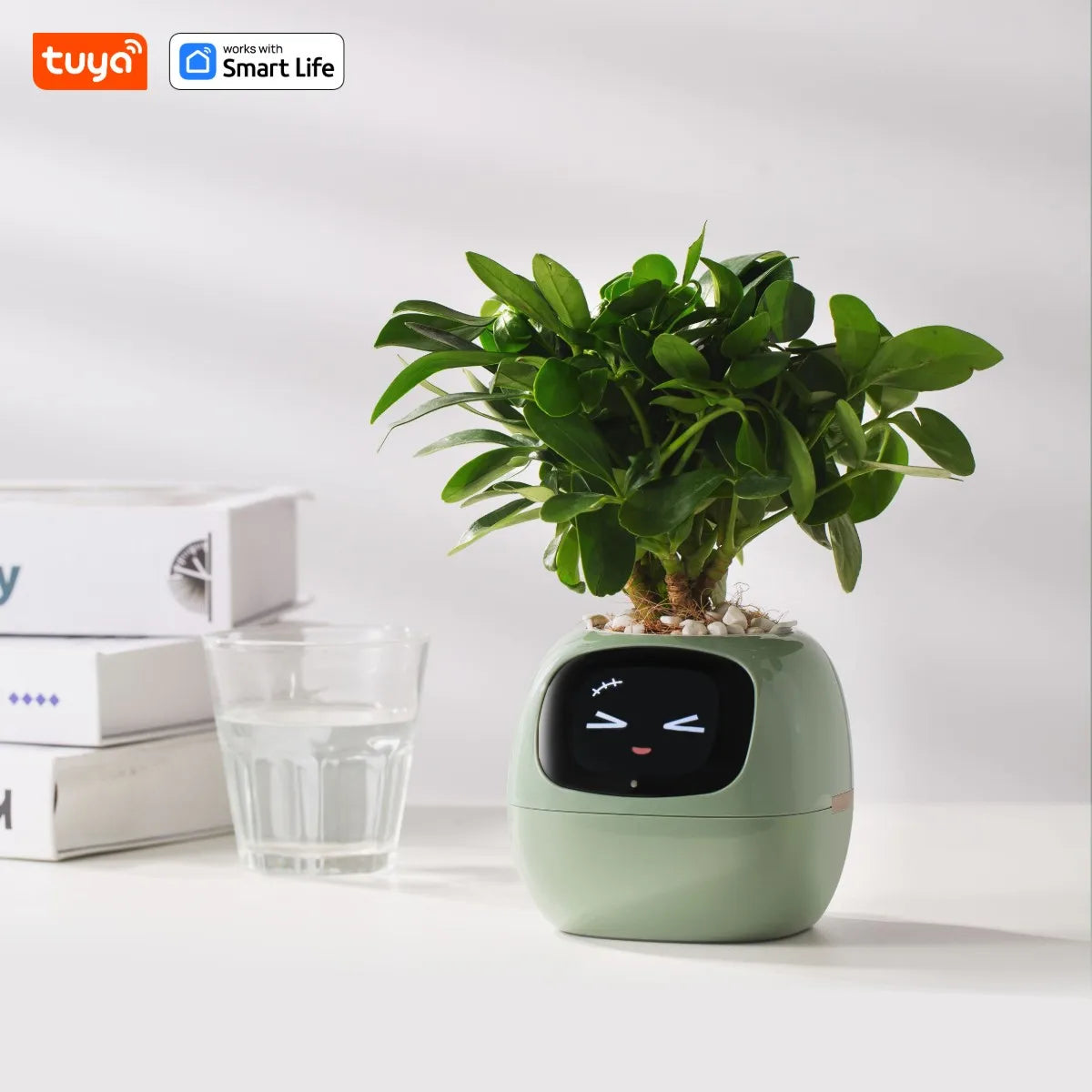 Jardinière intelligente Tuya Gen1 Ivy, plaisir sans fin avec plus de 49 expressions riches, 7 capteurs intelligents, les puces IA rendent la culture des plantes facile et amusante