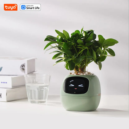 Jardinière intelligente Tuya Gen1 Ivy, plaisir sans fin avec plus de 49 expressions riches, 7 capteurs intelligents, les puces IA rendent la culture des plantes facile et amusante