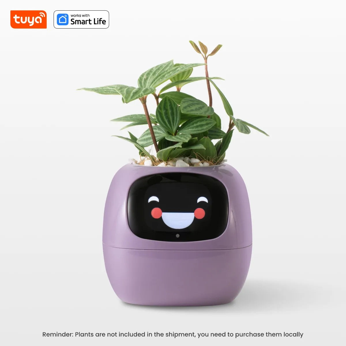 Jardinière intelligente Tuya Gen1 Ivy, plaisir sans fin avec plus de 49 expressions riches, 7 capteurs intelligents, les puces IA rendent la culture des plantes facile et amusante