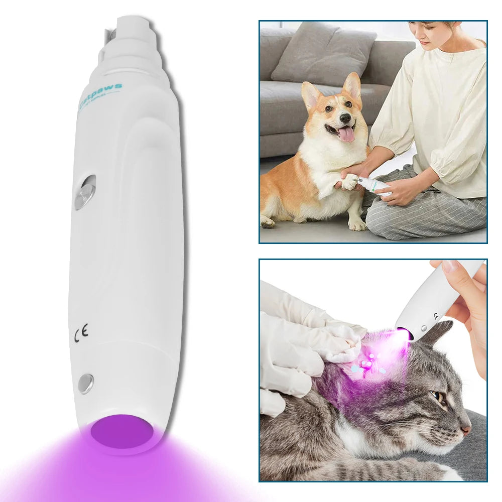 Broyeur électrique de griffes de chien, Rechargeable par USB, coupe-ongles électrique silencieux pour animaux de compagnie, pattes de chat, outils de toilettage des ongles