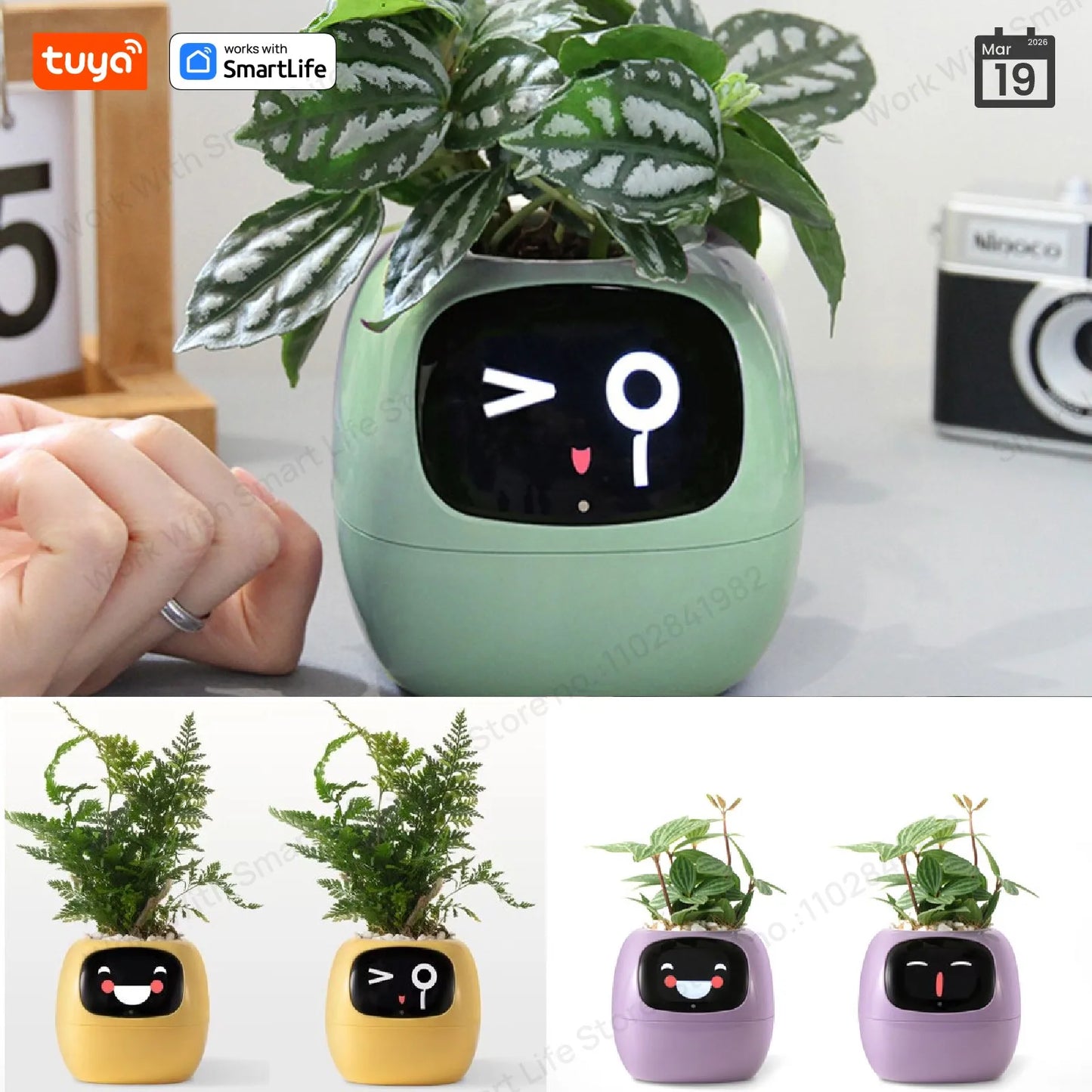 Jardinière intelligente Tuya Gen1 Ivy, plaisir sans fin avec plus de 49 expressions riches, 7 capteurs intelligents, les puces IA rendent la culture des plantes facile et amusante