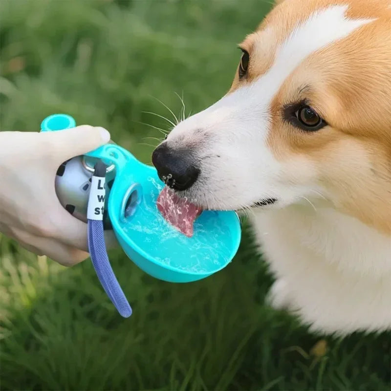 Bouteille d'eau portable pour chien en acier inoxydable avec bol en silicone, anti-fuite, pour chiens, chats, randonnée, voyage, promenade