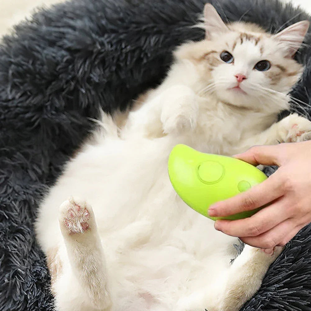 Brosse à vapeur 3 en 1 pour animaux de compagnie, peigne pour chien, brosse électrique pour pulvérisation de poils de chat, Massage, toilettage pour animaux de compagnie, peignes d'épilation
