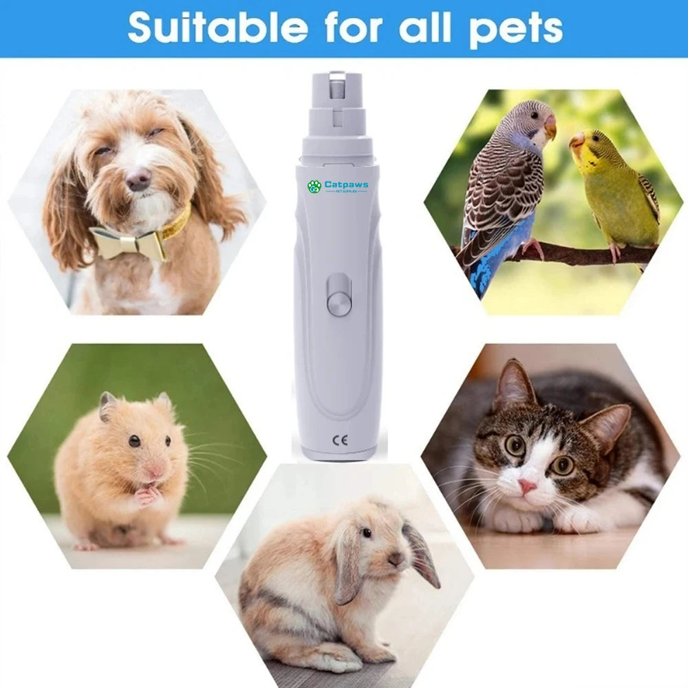 Broyeur électrique de griffes de chien, Rechargeable par USB, coupe-ongles électrique silencieux pour animaux de compagnie, pattes de chat, outils de toilettage des ongles